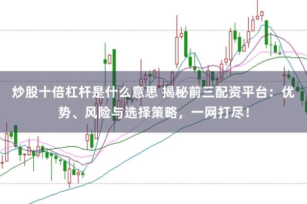 炒股十倍杠杆是什么意思 揭秘前三配资平台：优势、风险与选择策略，一网打尽！