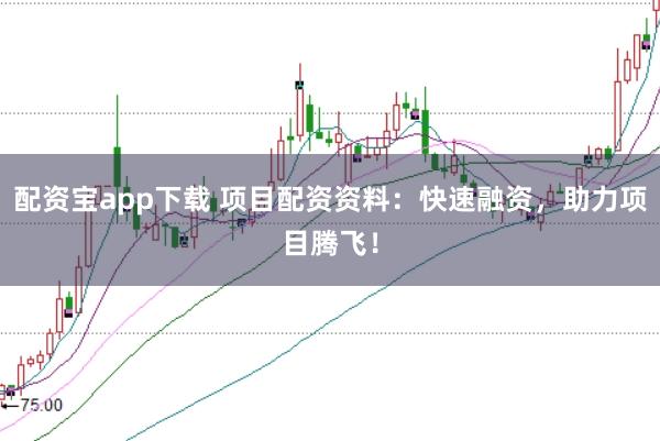 配资宝app下载 项目配资资料：快速融资，助力项目腾飞！