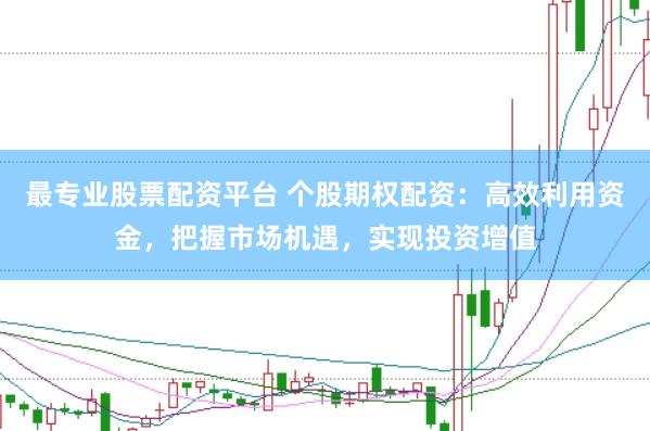 最专业股票配资平台 个股期权配资：高效利用资金，把握市场机遇，实现投资增值