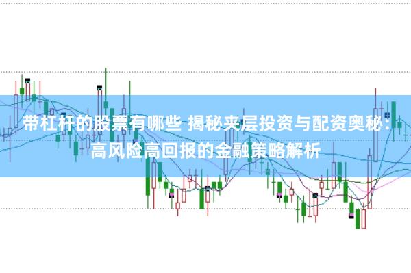 带杠杆的股票有哪些 揭秘夹层投资与配资奥秘：高风险高回报的金融策略解析