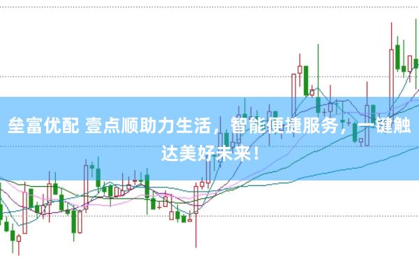 垒富优配 壹点顺助力生活，智能便捷服务，一键触达美好未来！