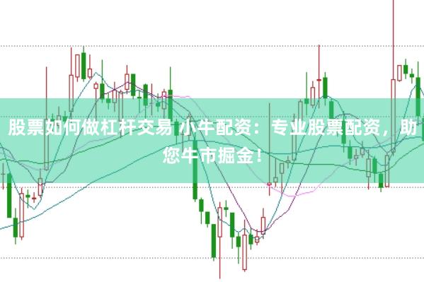 股票如何做杠杆交易 小牛配资：专业股票配资，助您牛市掘金！