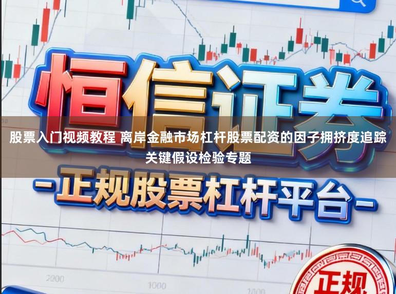 股票入门视频教程 离岸金融市场杠杆股票配资的因子拥挤度追踪关键假设检验专题
