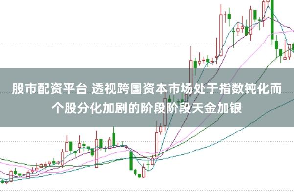 股市配资平台 透视跨国资本市场处于指数钝化而个股分化加剧的阶段阶段天金加银
